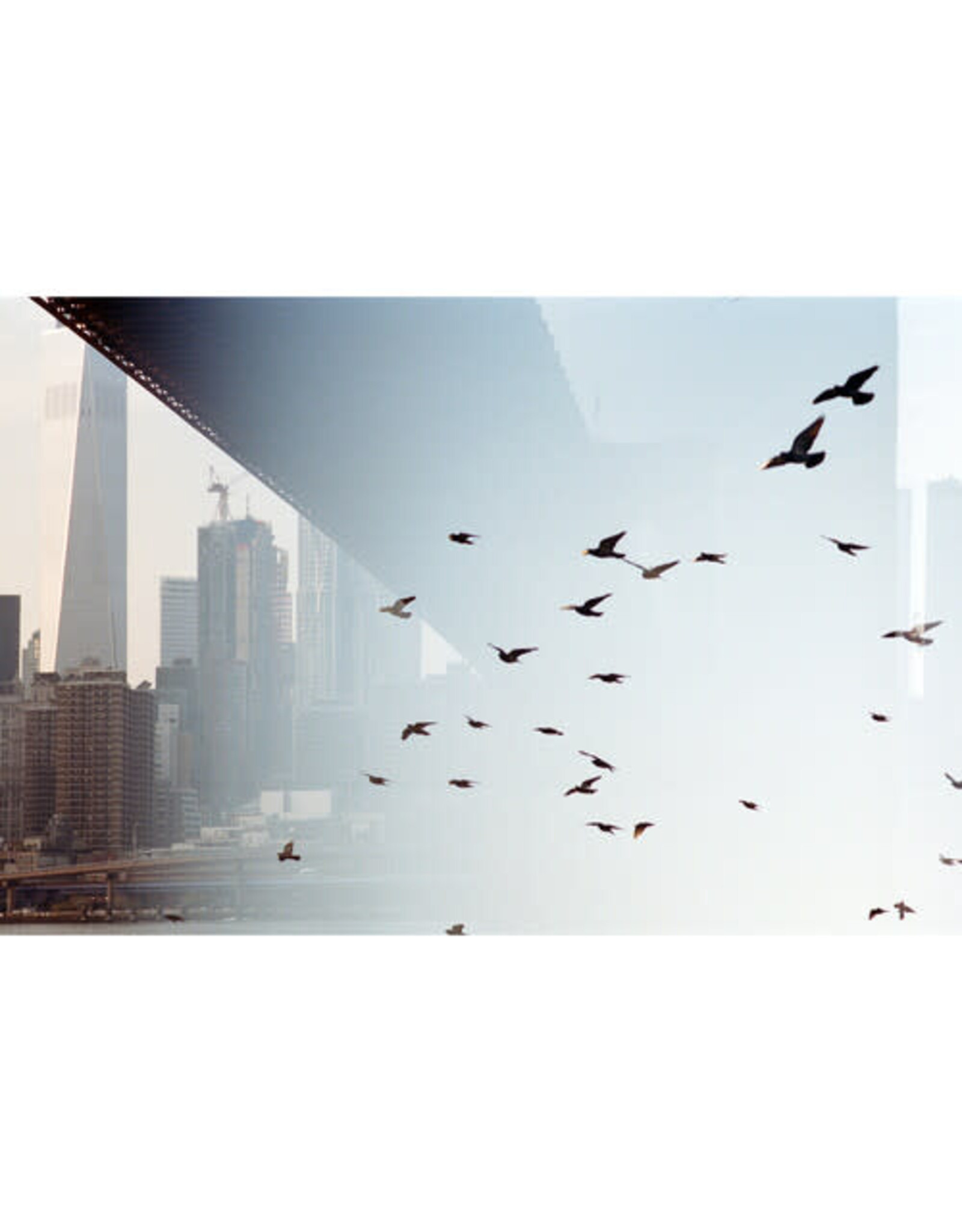 Kodak Portra 400 135-36 (Single)