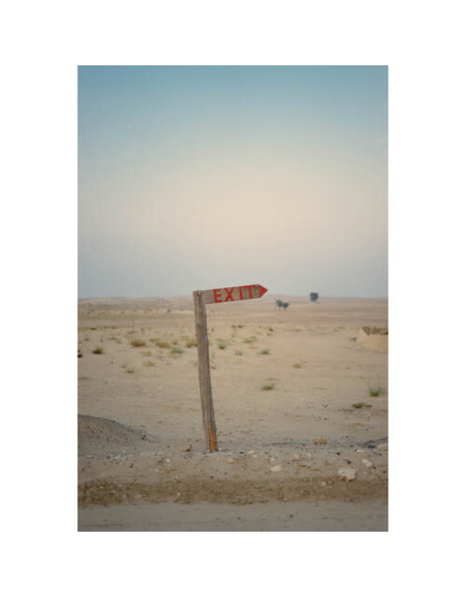 Kodak Portra 400 135-36 (Single)