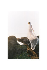 Kodak Portra 800 120 (single)