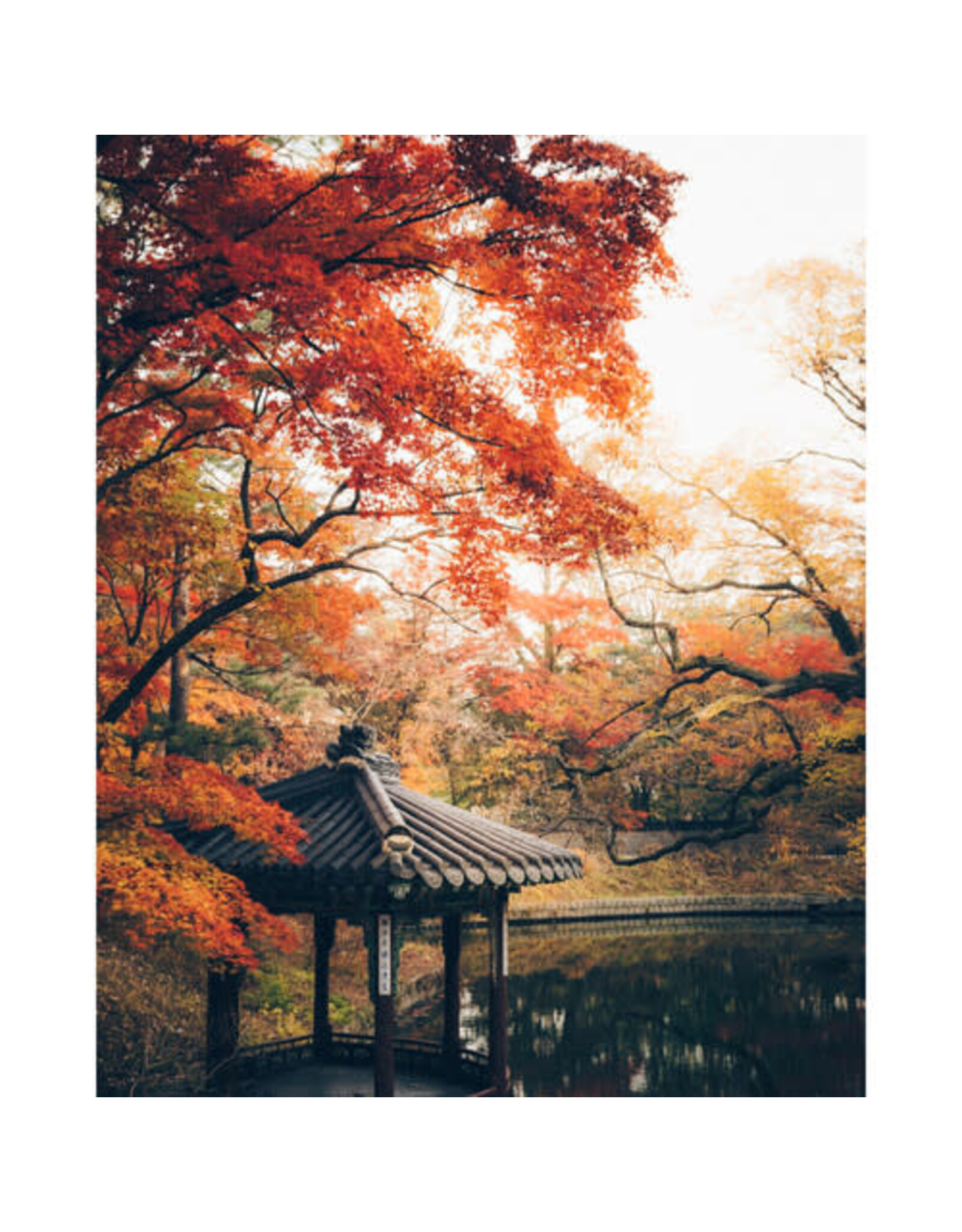Kodak Ektar 120 Roll Film (single)