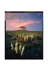 Kodak Ektar 120 Roll Film (single)