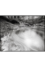 Kodak TMax 100 TMX-120 (Single)