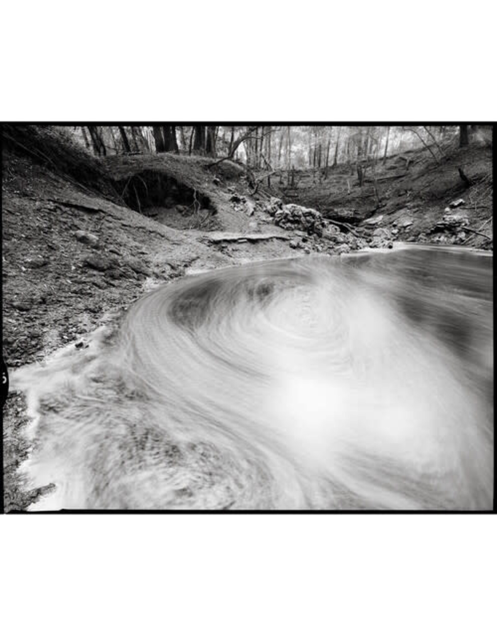 Kodak TMax 100 TMX-120 (Single)