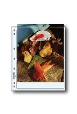 Print File Print Preservers 810-2P