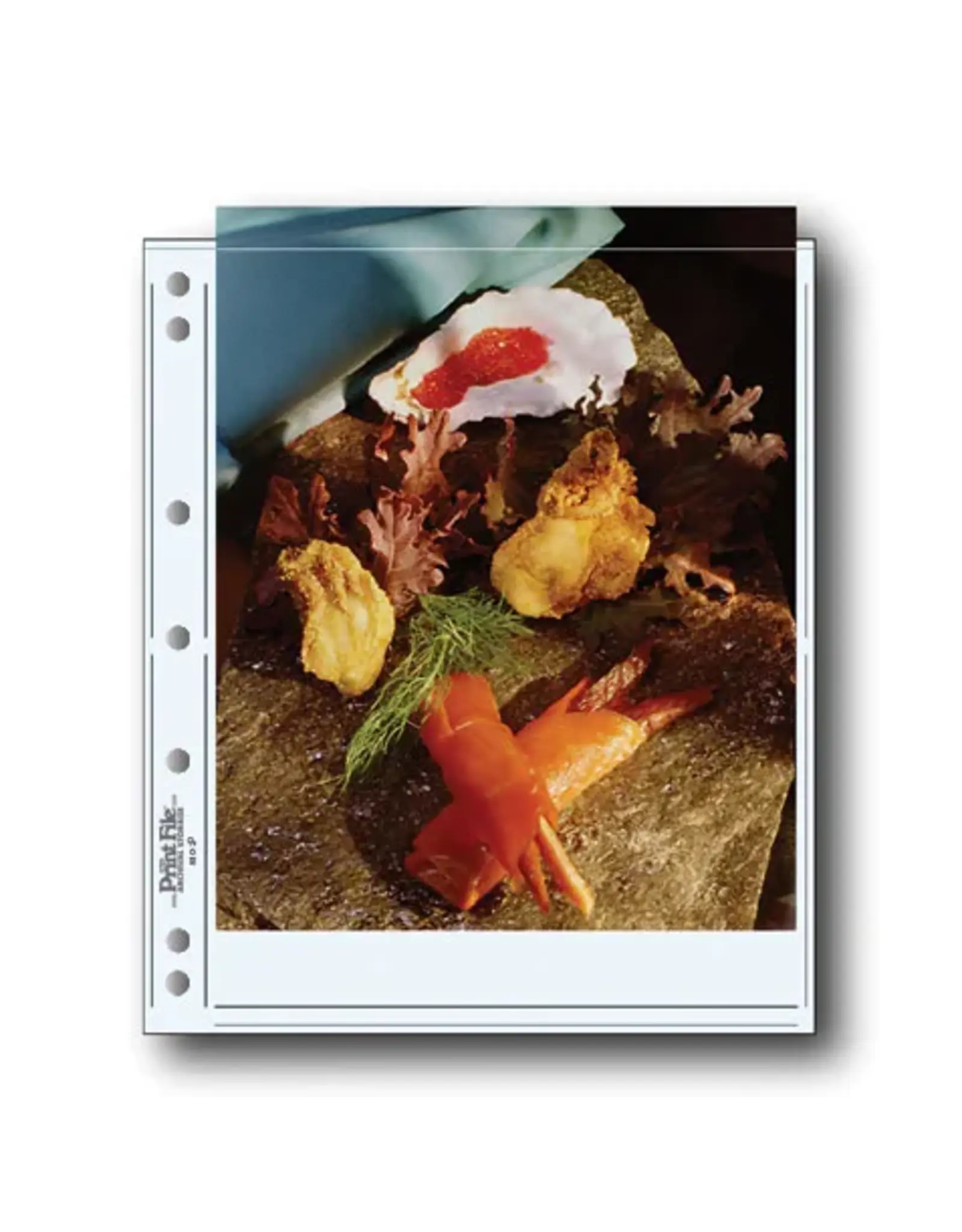 Print File Print Preservers 810-2P