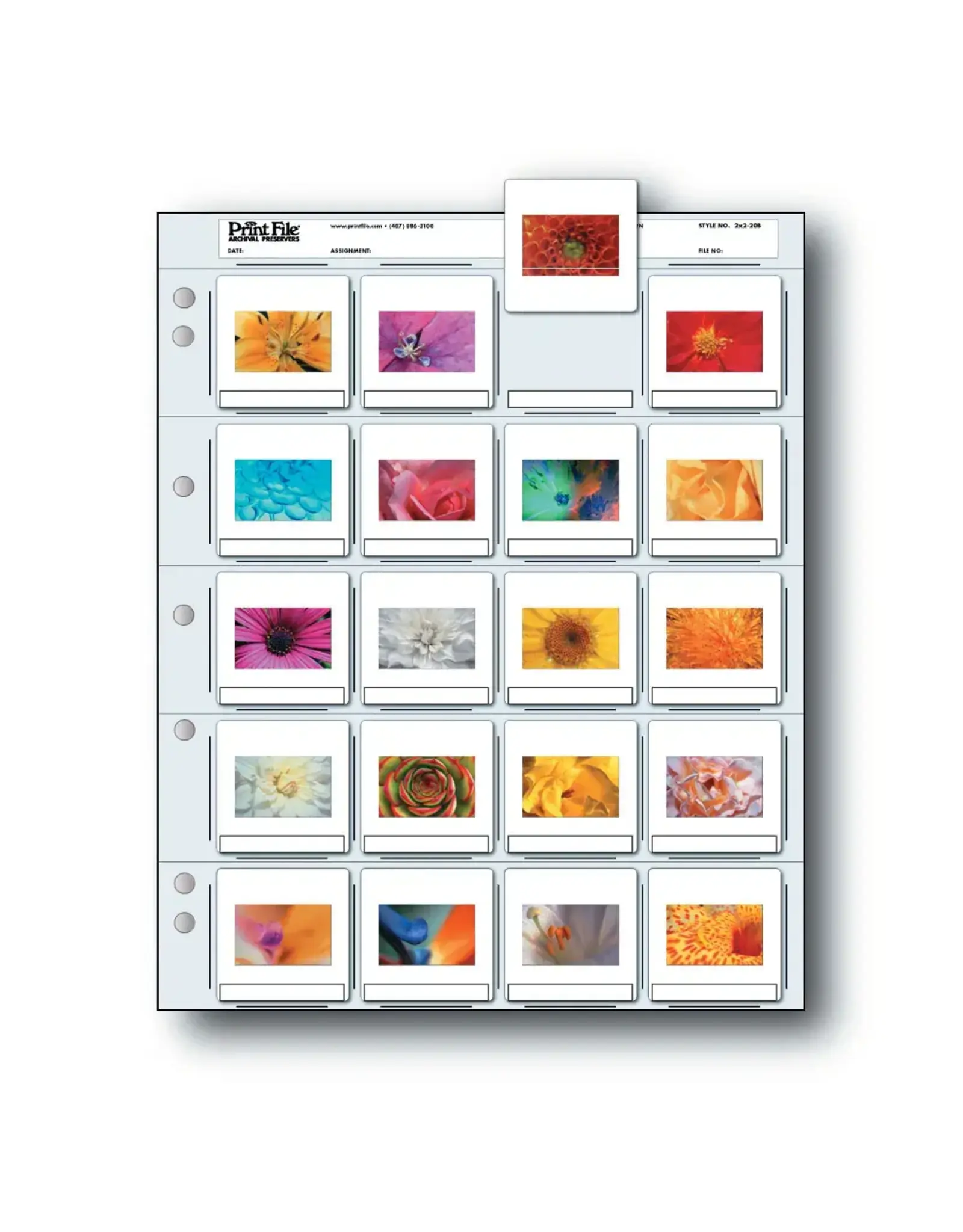 Print File 35mm Slide Preservers/2x2-20B