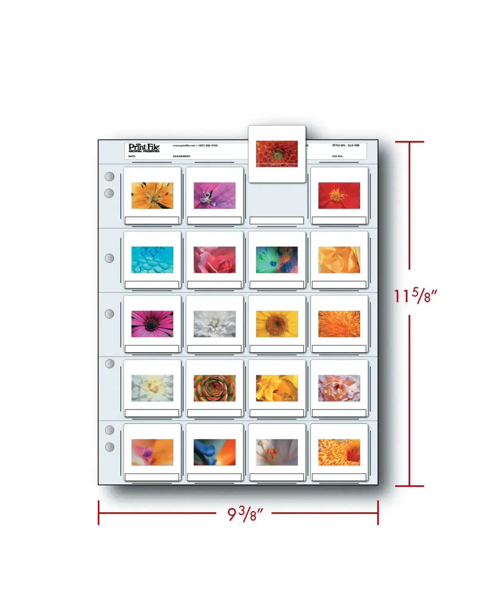 Print File 35mm Slide Preservers/2x2-20B