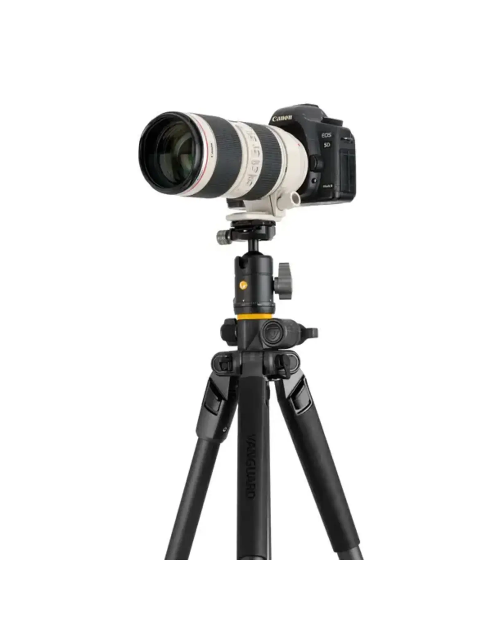 Vanguard Vanguard Alta Pro 2+ 263AB G2 Aluminum Tripod with BH-60 Arca Ball Head, QS-45H
