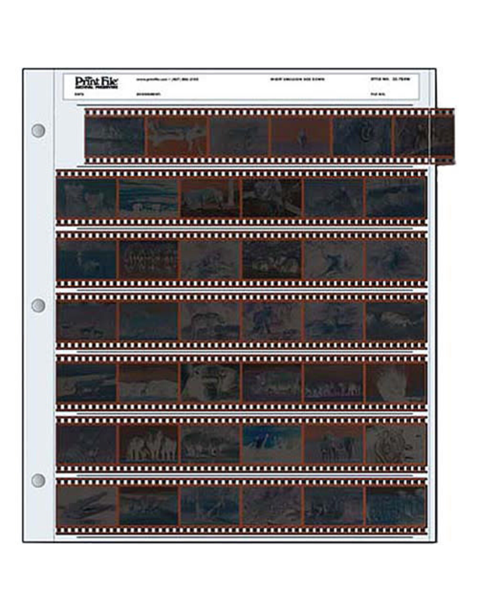 PrintFile Print File Negative Preservers 35-7B (25)