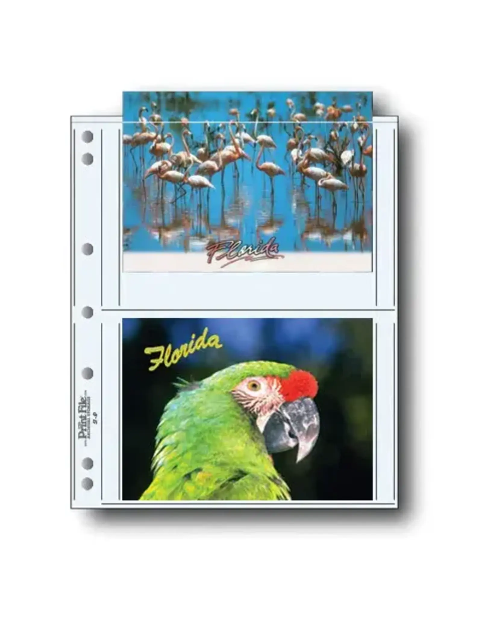 Print File Print Preservers 57-4P