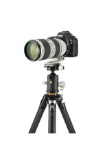 Vanguard Carbon Fiber Tripod with VEO BH-250S Ball Head, QS-62 V3