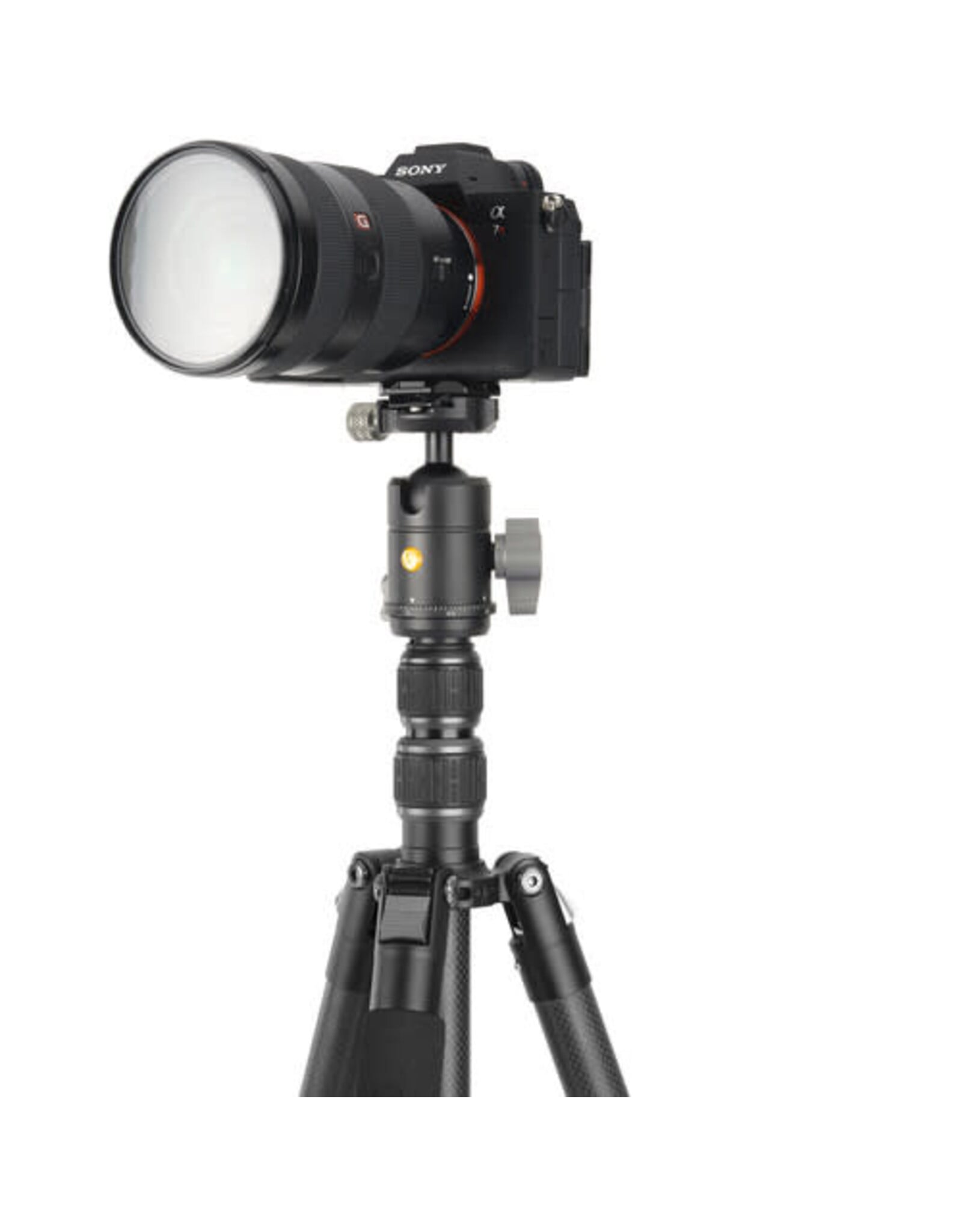 Vanguard Vanguard VEO 3GO 265HCB G2 Carbon Fiber Tripod with BH-60 Ball Head and Bluetooth Remote (Gen 2)