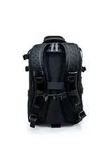 Vanguard Vanguard VEO SELECT 45BFM Camera Backpack