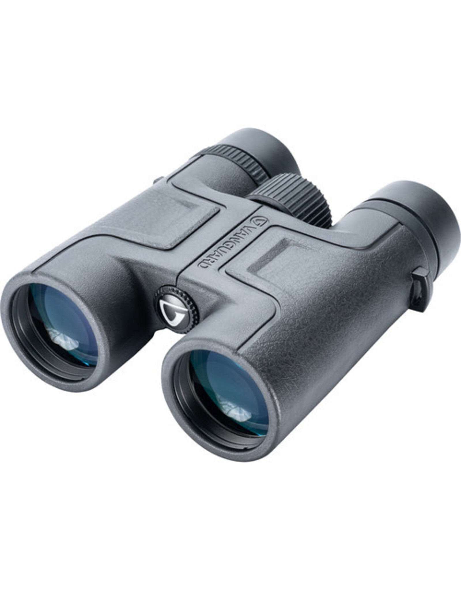 Vanguard Vanguard 10x42 Vesta Binoculars (Black)