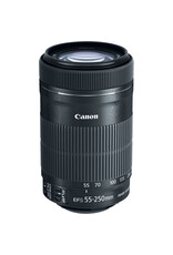 Canon Canon EFS 55-250 mm F/4-5.6 IS STM Lens
