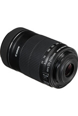 Canon Canon EFS 55-250 mm F/4-5.6 IS STM Lens