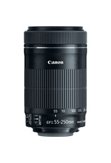 Canon Canon EFS 55-250 mm F/4-5.6 IS STM Lens
