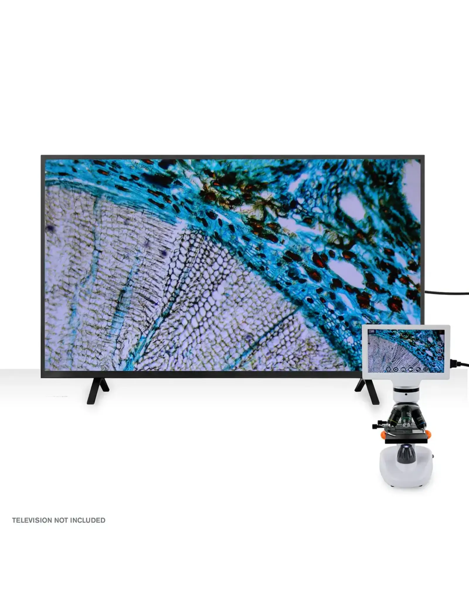 Celestron Celestron Labs Digital 7" LCD Desktop Microscope