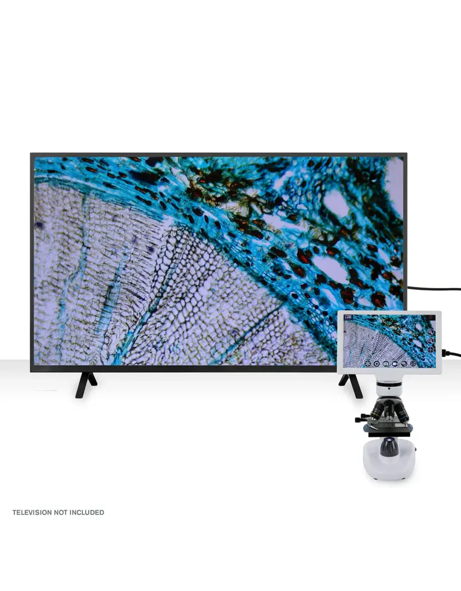 Celestron Celestron Labs Digital 9" LCD Desktop Microscope