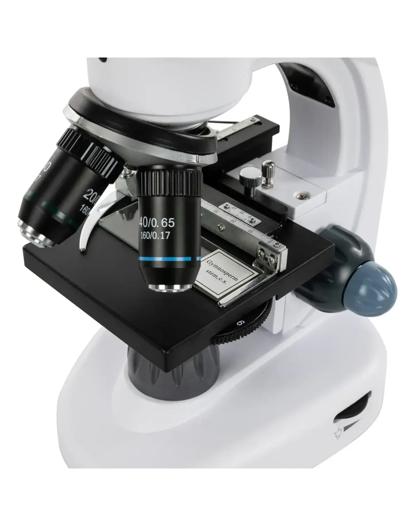 Celestron Celestron Labs Digital 9" LCD Desktop Microscope