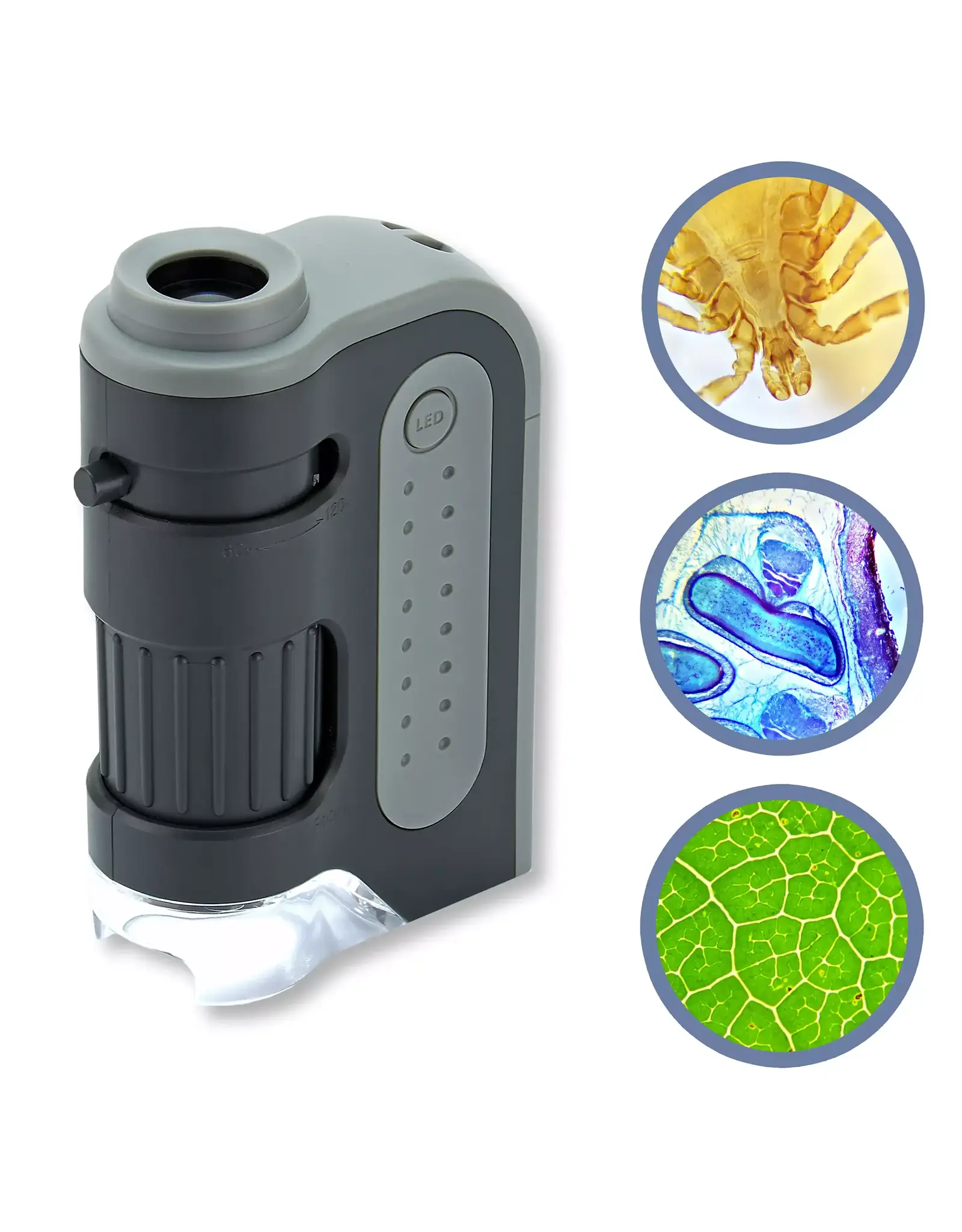 Carson Carson MM-300 MicroBrite Plus Pocket Microscope