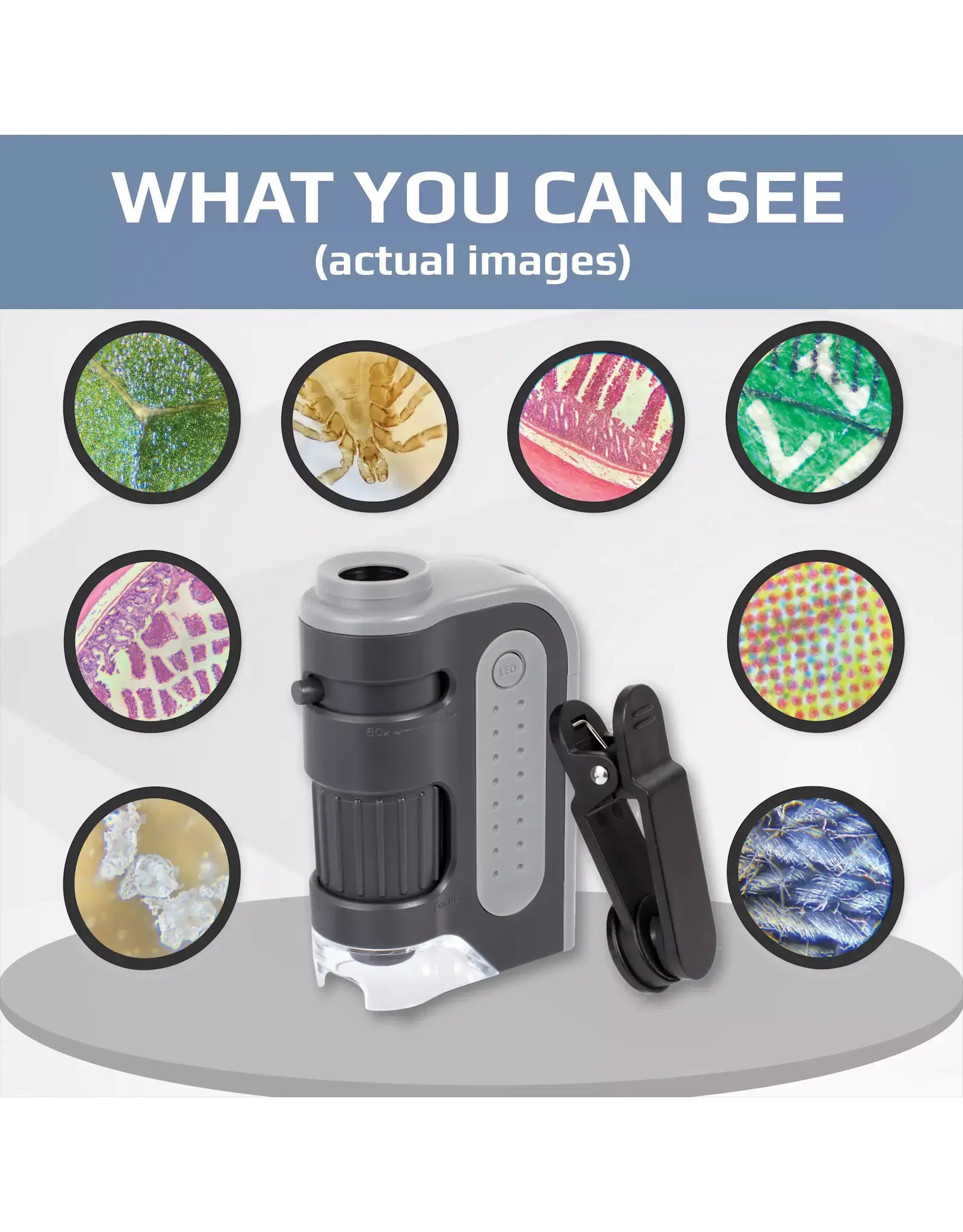 Carson Carson MM-300 MicroBrite Plus Pocket Microscope