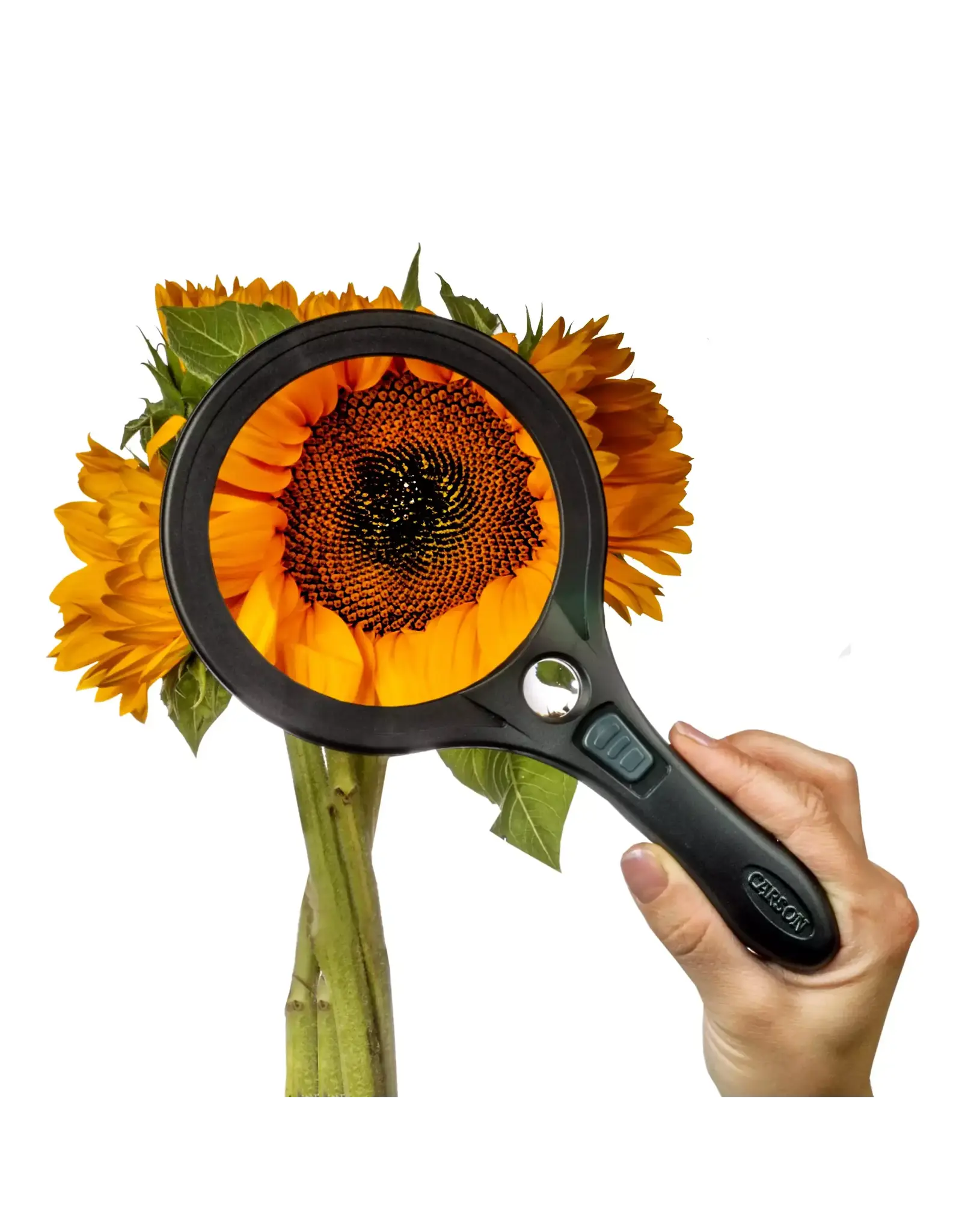 Carson Carson AS-95 Lume Series 4.5" Magnifier