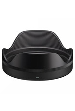 Sigma Sigma 20-60mm F2.8-4 DG | Contemporary