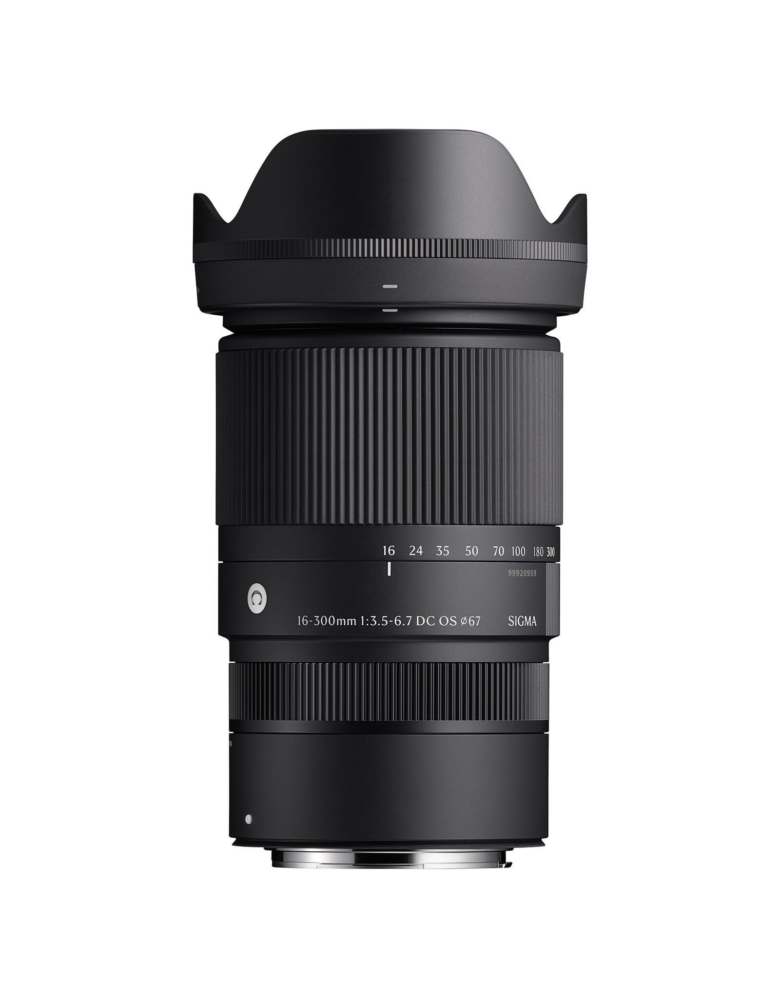 Sigma Sigma 16-300mm F3.5-6.7 DC OS | Contemporary