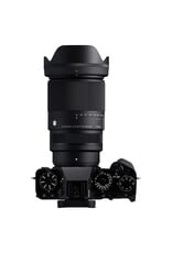 Sigma Sigma 16-300mm F3.5-6.7 DC OS | Contemporary