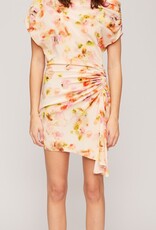 A.L.C. Poppy Dress A.L.C. Poppy Dress