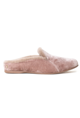 Mave & Chez Maya Mule