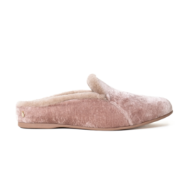 Mave & Chez Maya Mule