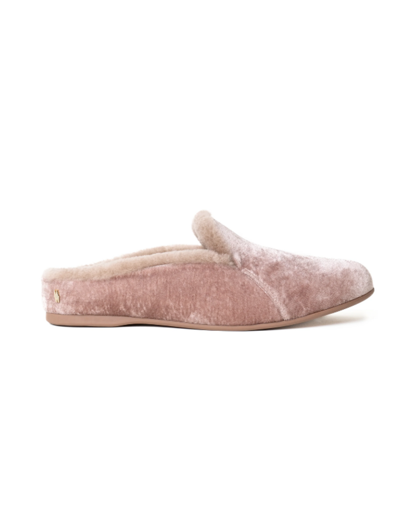 Mave & Chez Maya Mule