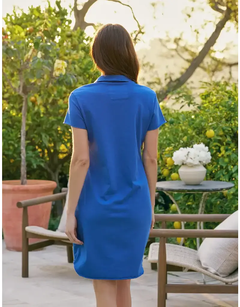Frank & Eileen Lauren Polo Dress