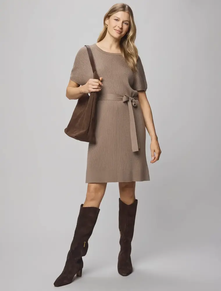 Splendid Georgie Mini Dress