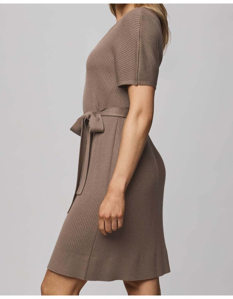 Splendid Georgie Mini Dress