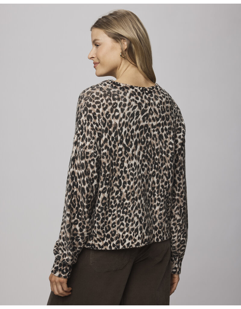 Splendid Delaney Leopard Sweater