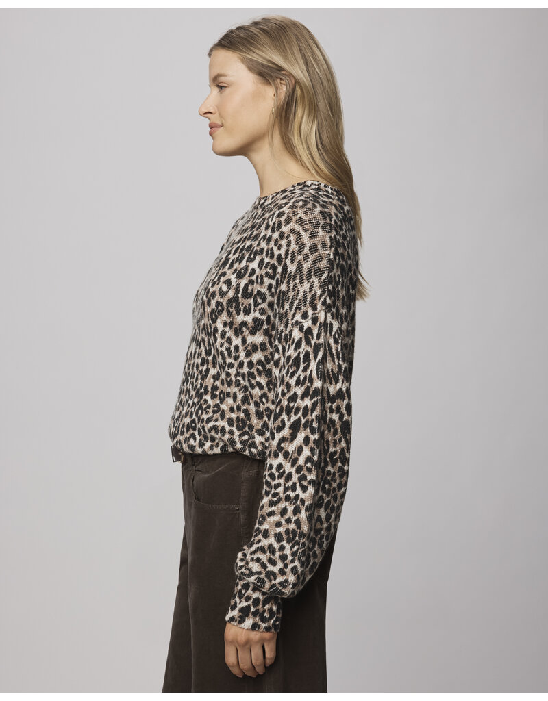 Splendid Delaney Leopard Sweater
