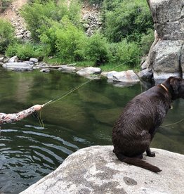 Anglers Covey Local Backcountry Trout Fly Assortment