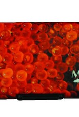 Montana Fly Co MFC Poly Fly Box