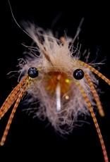 Loon Outdoors Loon UV Fly Finish