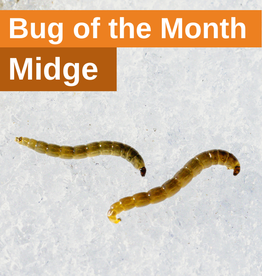 Anglers Covey Bug of the Month Fly Assortment - Midge