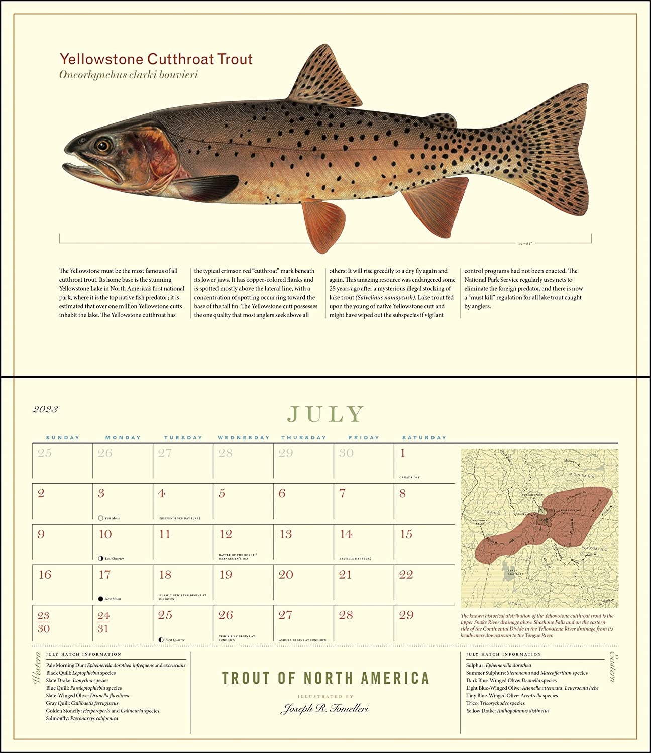 2023 Trout of North America Calendar Angler's Covey