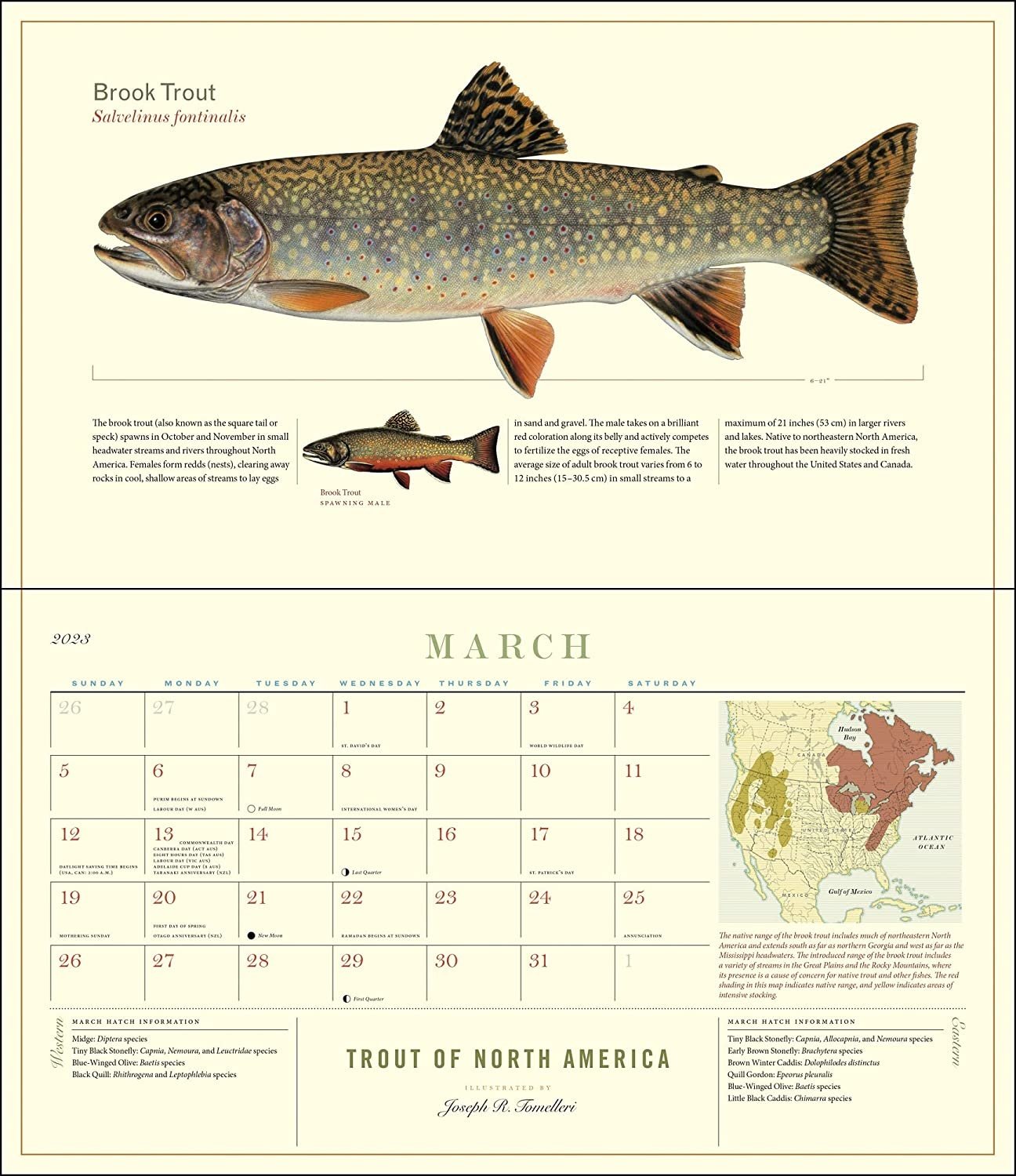 2023 Trout of North America Calendar - Angler's Covey