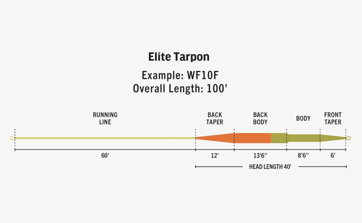 RIO Rio Elite Tarpon Fly Line -