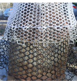 Rising Rising Net Replacement Bag - (2024 & older)