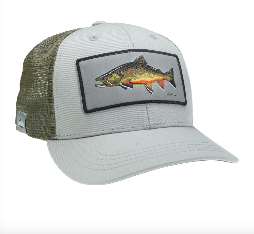 Rep Your Water Rep Your Water Big Brookie Hat
