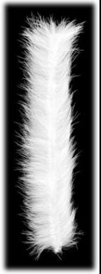 Montana Fly Co MFC Bunny Brush