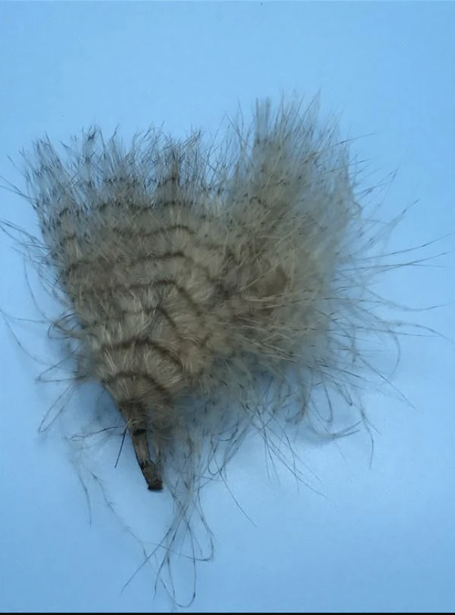 Montana Fly Co MFC Fine Barred Marabou